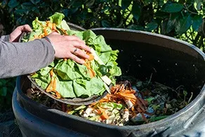 Green waste cleaning service preview